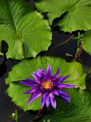 -F.N冻龄皮肤管理中心