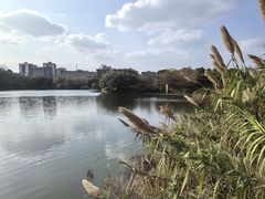 -广东花都湖国家湿地公园