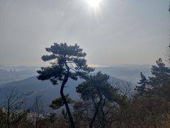 -惠山国家森林公园