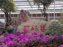 -沂蒙云瀑洞天景区