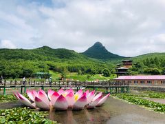 -帽儿山风景区
