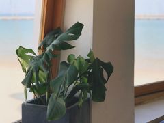 -ChanDu躔度咖啡(灯塔店)