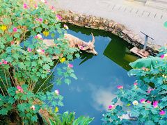 -燊海井