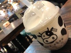 -TPLUS茶家(浦电路店)