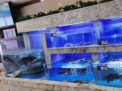 -香山湖渔家大院