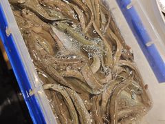 -健眺小海鲜(临海后山店)