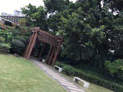 -金山公园