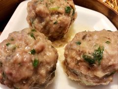 新会陈皮牛肉丸-又一间茶点轩(百汇广场店)