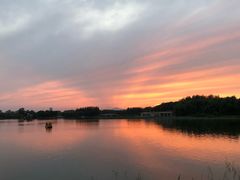 -大兴滨河森林公园