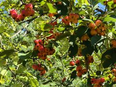 -春晖园度假酒店温泉