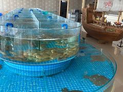 -必点蒸汽海鲜(止锚湾店)