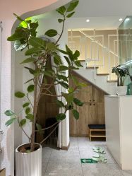 -薇薇安花系SPA