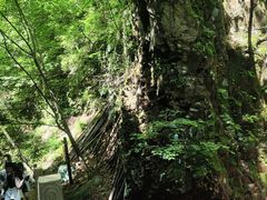 -本溪汤沟绿石谷森林公园