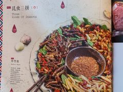 炸昆虫-紫滇源云南生态菜(丹凤街店)