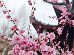 -堤角公园