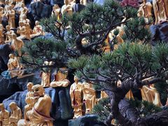 -上海东林寺(金山区)