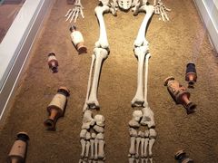 -雅典国家考古博物馆(Ethniko Archaiologiko Museo)