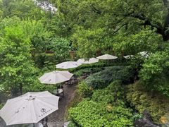 -申粤轩酒楼·三十年粤菜经典(丁香花园店)