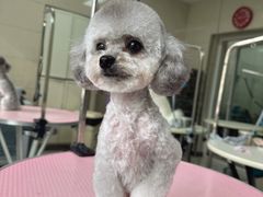 -北京观赏动物医院·24小时大型综合·猫专科·异宠专科