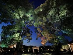 -雅达·阳羡溪山小镇中心