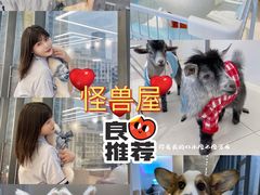 -怪兽屋·羊驼·猫咖·狗咖(俊华广场店)
