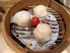 -点都德(汇点楼店)