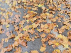 -河南牧业经济学院(龙子湖校区)