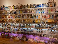 -艺心瓶(曾厝埯天泉路店)