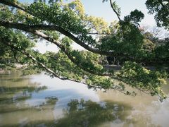 -江心屿景区