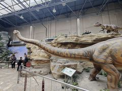 -国家自然博物馆