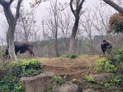 -茅山东方盐湖城景区