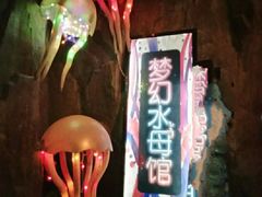 -东湖欢乐水世界