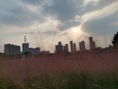 -映月湖公园