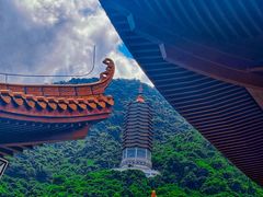 -深圳仙湖植物园