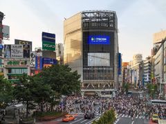 -涩谷区