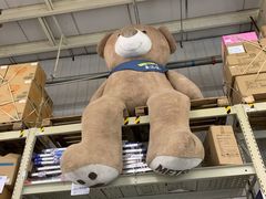 -麦德龙(郑东店)