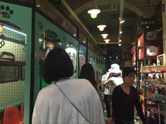 -猫咪博物馆(顶澳仔猫街店)