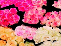 -双季花艺园艺市场(浦东店)
