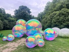 -上海共青森林公园