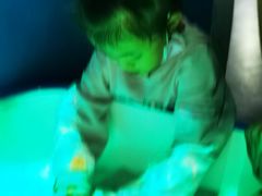 -陕西自然博物馆