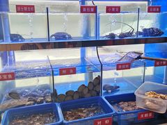 -小龍鳳·港式海鲜打边炉(沙湖路店)