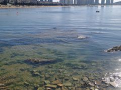 -威海国际海水浴场旅游区
