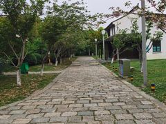 -尚贤河湿地