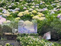 -天适樱花悠乐园