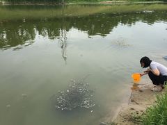 -洨河生态公园