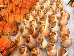 -常州富力喜来登酒店 Feast盛宴标帜西餐厅(新北万达广场店)