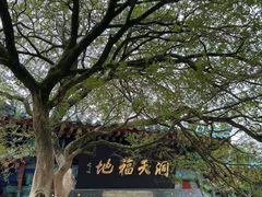 -青岛崂山太清宫