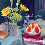 宝藏蛋糕店，猪猪女孩的福音🍰