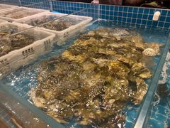 -长沙芙蓉国温德姆至尊豪廷大酒店 - 自助餐厅