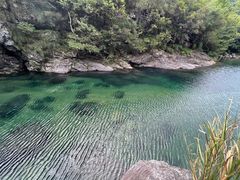 -石台牯牛降景区